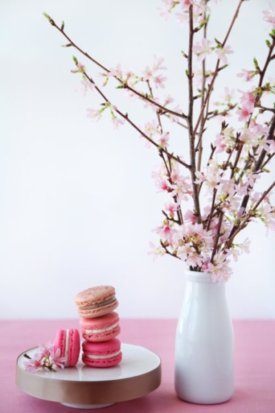 macaron cherry blossom blog